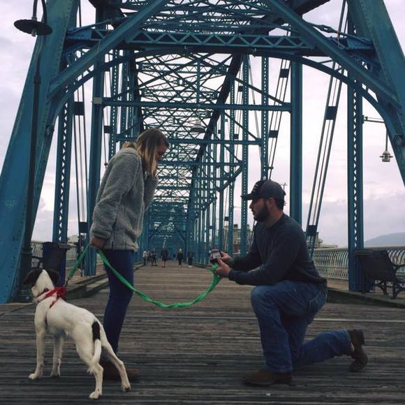 Meet your Posher, Rhett - Picture 1 of 1